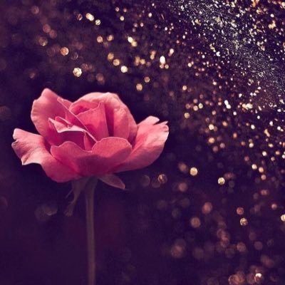 hasos02701024's profile picture. 