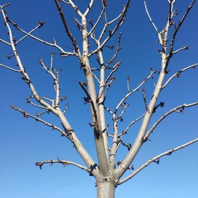 jvr085's profile picture. 