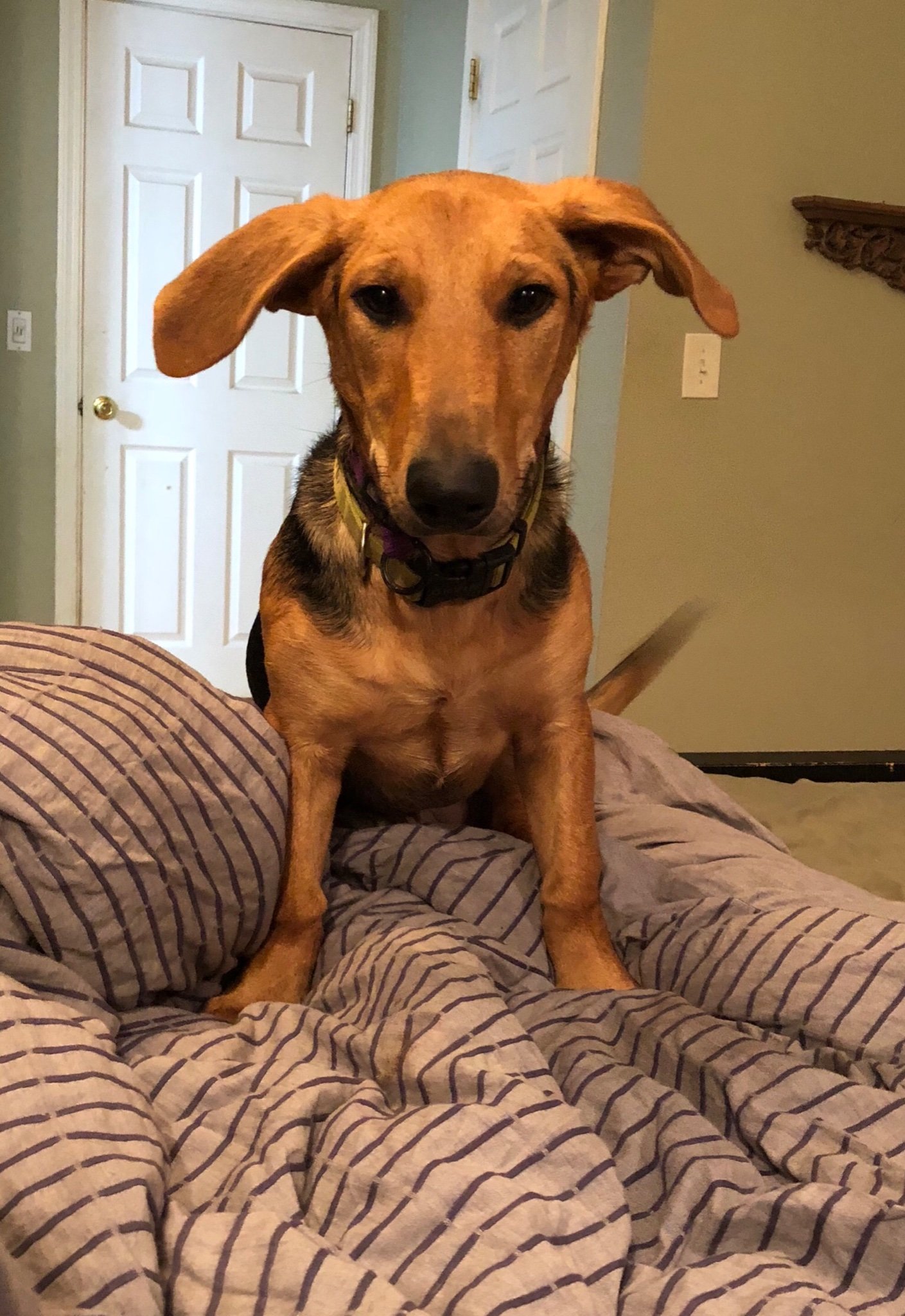 cass_loud's profile picture. 