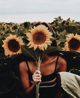 semplice ragazza fangirl che ama i tramonti,i girasoli,il giallo e @benjiefede e che ha tanta voglia di dire quello che pensa senza essere giudicata.