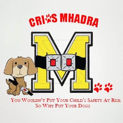 CMhadra's profile picture. We are second year students from Presentation Secondary School, Castleisland, Co. Kerry. Our product is a safer and more comfortable pet harness for your car.