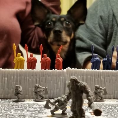 krushed1's profile picture. Halifax, Sackville. Dogs. Gaming, Drones and worse. All content is personal opinion.