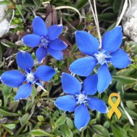 Quantum🎗️ (@quantumaspect) 's Twitter Profile