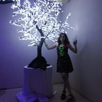 Socha (@collazosofi) 's Twitter Profile