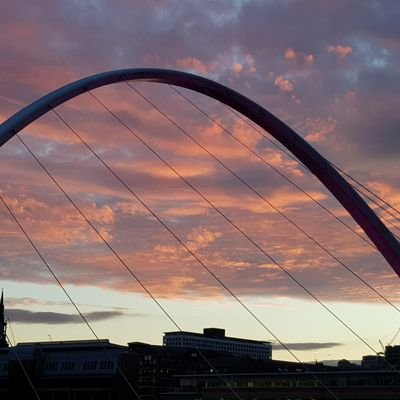 Boutique law firm specialising in employment and HR law and commercial litigation