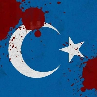 Resmî Twitter Hesabı, Official Twitter Account; Uluslararası Türkistanlılar Dayanışma Derneği (TÜRKİSTANDER) Başkanı;   Atayurdu: Fergana vadisi-Türkistan