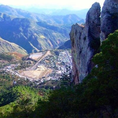 herrero53868181's profile picture. Catedrático Universitario