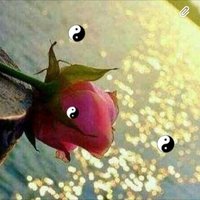 من السعاده اكملها ومن الامور اسهلها (@m3m4888gmailco1) 's Twitter Profile
