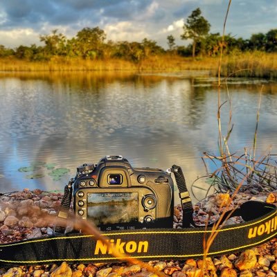 If you’re a photographer in Swindon, tag us into your tweet and we will share your images... please follow & we will follow back #SwindonTogs