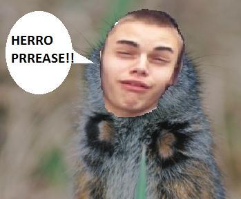 KingOfPwnage's profile picture. 