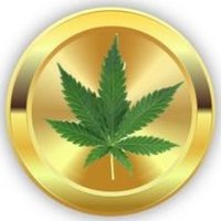 CanaKush.com(@cana_kush) 's Twitter Profile Photo