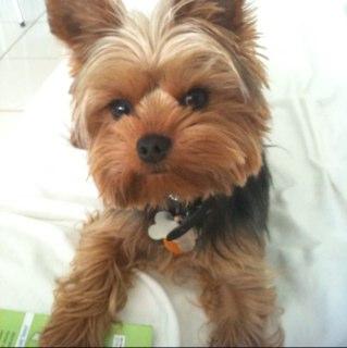 twobusyhectic's profile picture. 