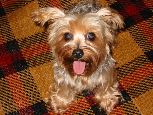 WasteXIV's profile picture. 