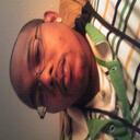 asa williams - @osyris26 - Twitter