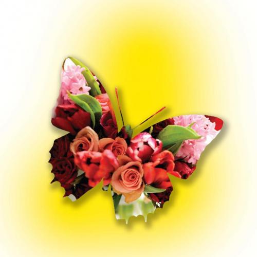 CelebyDesignLLC's profile picture. Celebrations by Design is your complete wedding & special event planning service owned by Jeri Fitzgerald, wedding & special event planner.