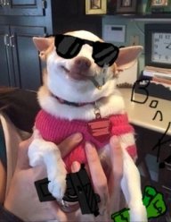 theactualerk's profile picture. 
