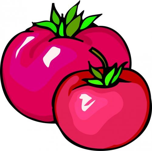 sandysproduce's profile picture. Committed to food freedom