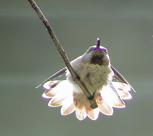 Marie_Irene's profile picture. 