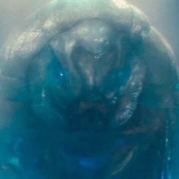 ProtectiveMoth's profile picture. The legacy begins anew.