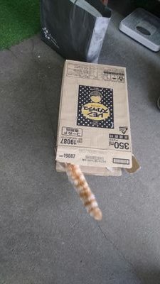 ひろBさんのプロフィール画像