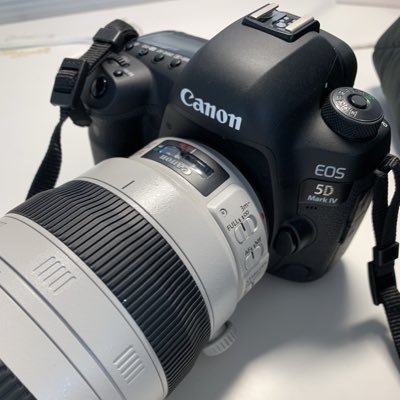 everydata1010's profile picture. 📸오막포(5D4)+새아빠(70-200)/백사투(100-400). 한국계좌paypal日本銀行ラクマ.日本語ENG⭕️프리뷰⭕️