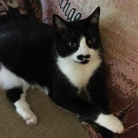 RabbitEaster (@rabbiteaster1) 's Twitter Profile
