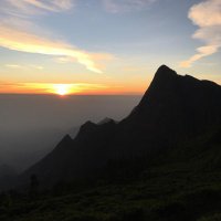 Shakeelav Mohamed (@vshakeela) 's Twitter Profile