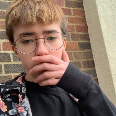 vexingspider's profile picture. dumb stupid idiot @vexingcompiler