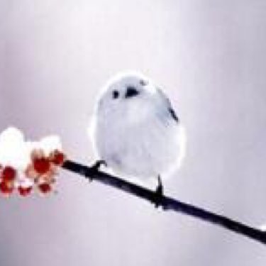 ib7_qa's profile picture. 