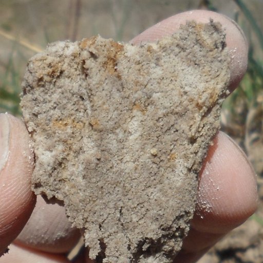 Retuiteo/tuiteo cosas relacionadas a los suelos.
#soilscience
English: @soils20