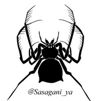 Sasagani_ya (@sasagani_ya) 's Twitter Profile Photo Sasagani_ya (@sasagani_ya) 's Twitter Profile Photo