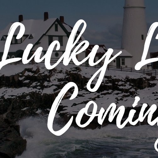 Lucky Light House Light Decoration For All Kind Of Events