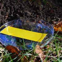 Invrivi (@invrivi) 's Twitter Profile