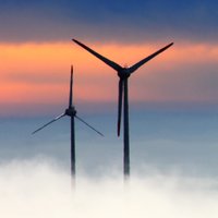 TransitionRisk (@risktransition) 's Twitter Profile