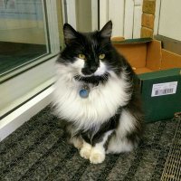 Charlie (@charlie15349774) 's Twitter Profile Photo