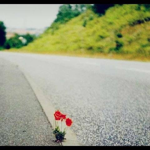 melanin_h's profile picture. 