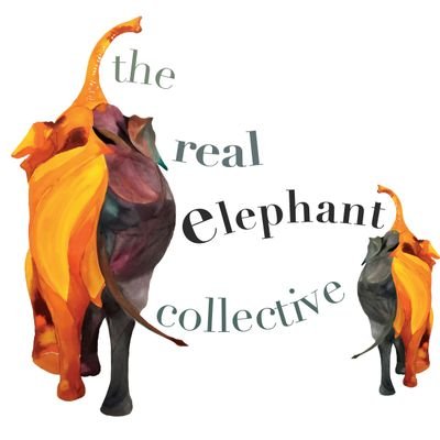 A not-for-profit socio-environmental enterprise for all things elephant