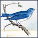 BluebirdGoods's profile picture. We sell a wonderful collection of vintage, cottage, antique inspired goods for your home.