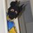 PuppyDomino's Twitter avatar