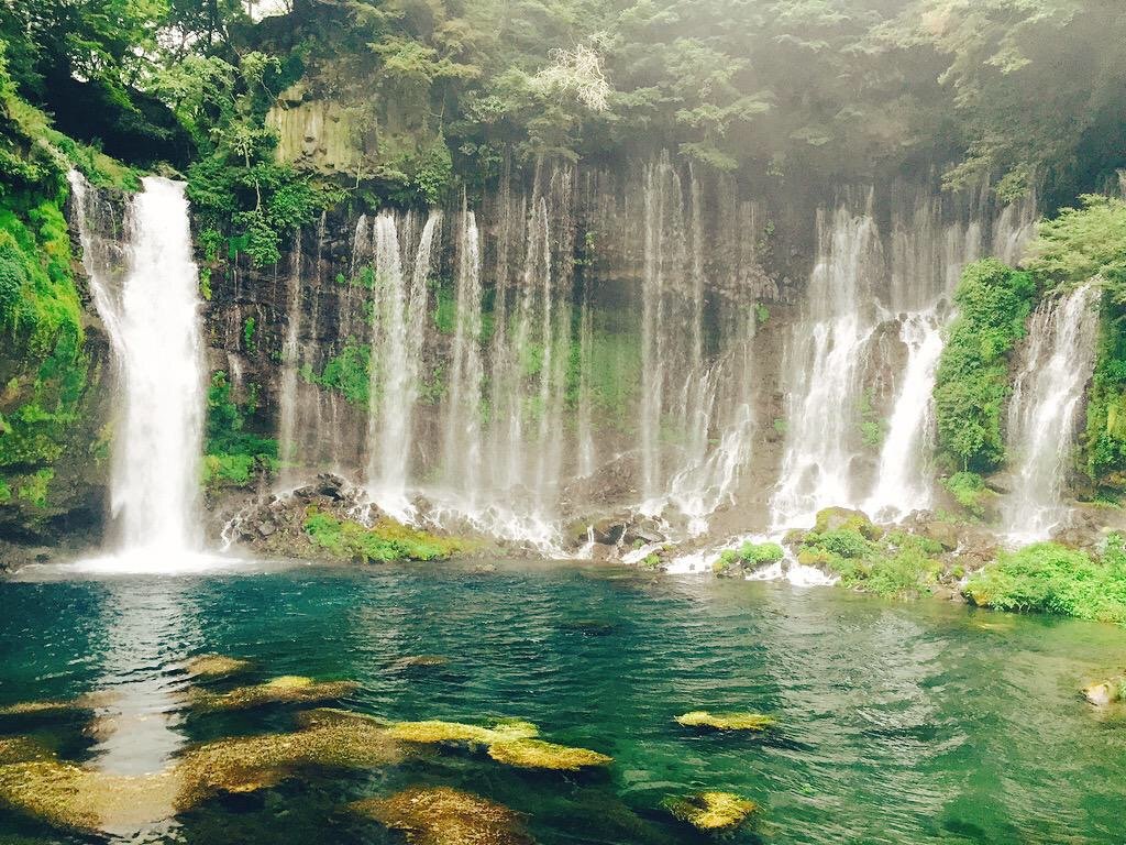 FWFW0610's profile picture. 気楽に独り言