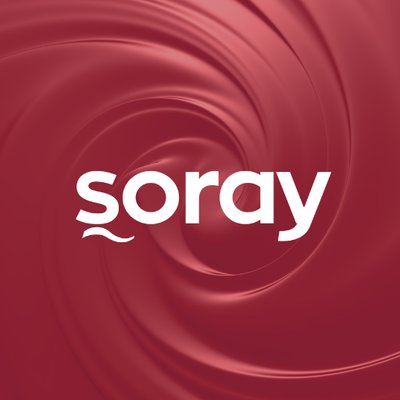 Şoray logo