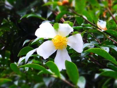 ちょっと田舎の博物館学芸員→文化財担当職員です。ゆるゆるな毎日の備忘録。たまに黒いところが滲み出てしまうかもしれません。好き→博物館、美術館、水族館、動物園、ビジターセンター、歴史、音楽、読書、文学、写真、空想、船、甘いもの、お出かけ、文具……