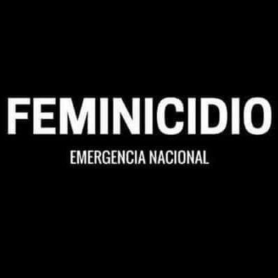 Peruana Feminista Antitaurina Derechos LGTBIQ Proaborto legal  Vegetariana Publico lo que pienso siento y en lo que creo Si no tienes  voz usa la mía