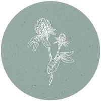 Homefield Grange (@homefieldgrange) 's Twitter Profile