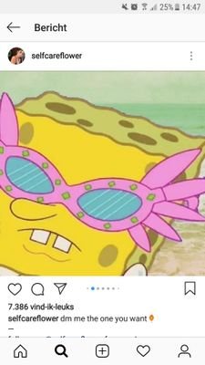 suicidalchicke3's profile picture. i don't know what i'm doing either