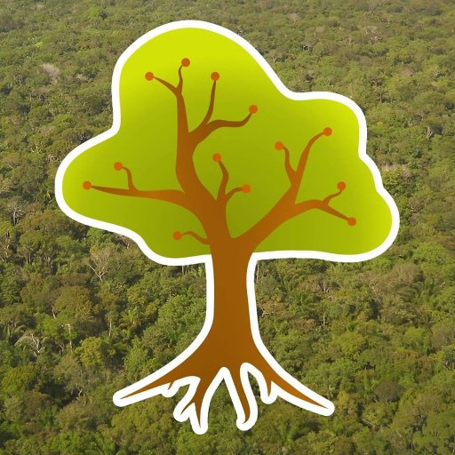 Organización sin fines de lucro con el objetivo de reforestar Ecuador! NGO with the visión of reforesting Ecuador!