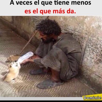 Especialista en Marketing y rescatista de animales sin hogar con la fundación @capacitandoparaelcambio. Dios es mi horizonte.