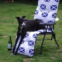 Katie FBSI #YesScots 🏴 (@sallydust) 's Twitter Profile