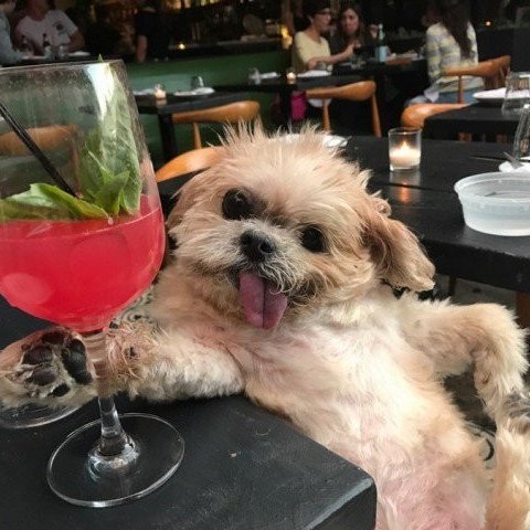 butilyok's profile picture. Всё хорошо! Не пессимиздите! 😉