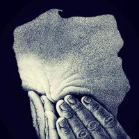 user_pro (@zyndram) 's Twitter Profile